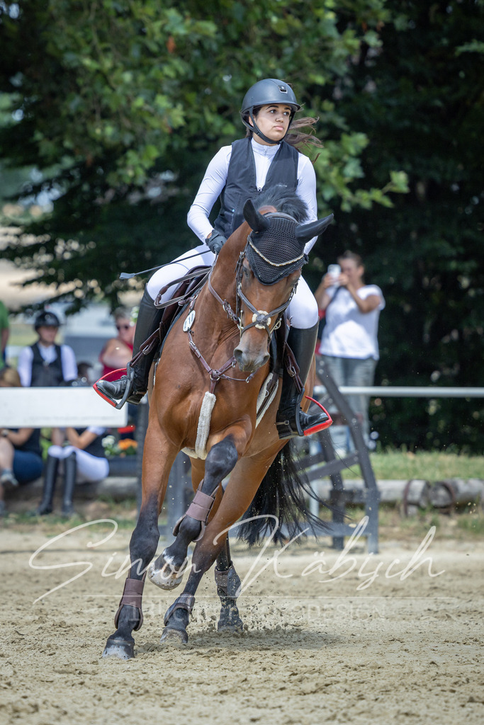 20260704-_3LI9965 | Tierfotografie Pferde, Hunde, Katzen, Haustiere.
Turnierfotografie Reitturniere, Reiten, Springreiten, Dressur in Hanau, dem Main-Kinzig-Kreis und dem Rhein-Main- Gebiet um Frankfurt