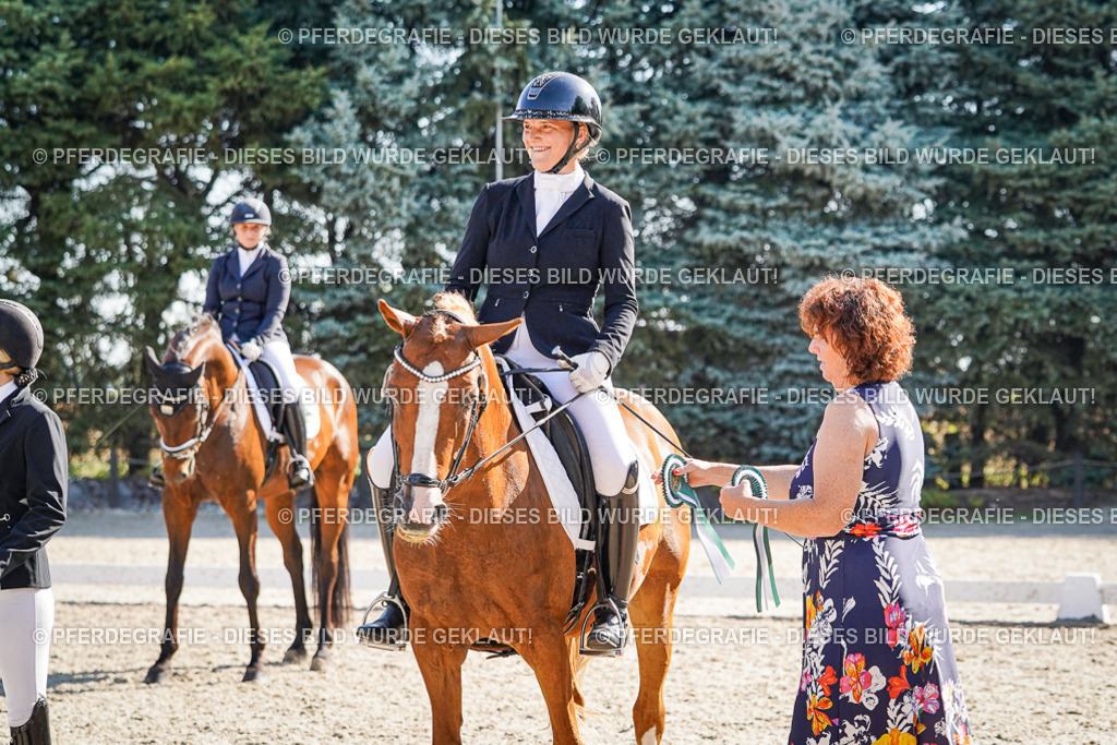 DSC00154 | Pferdegrafie