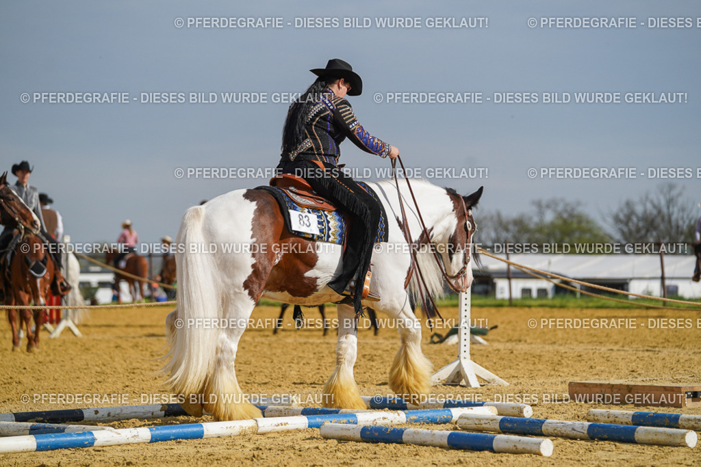 DSC01615 | Pferdegrafie