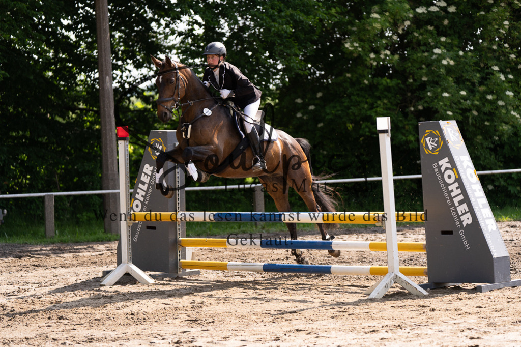 A7507394 | Turnier/Reitfotograf