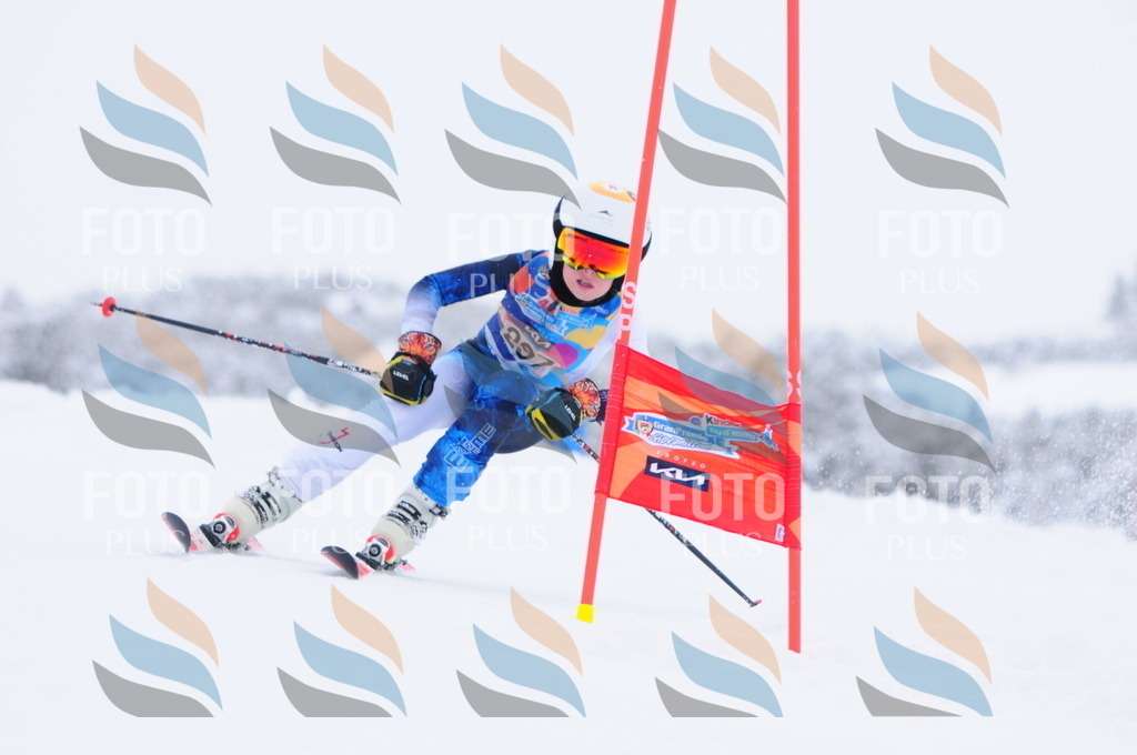 C3137 | holidayphoto