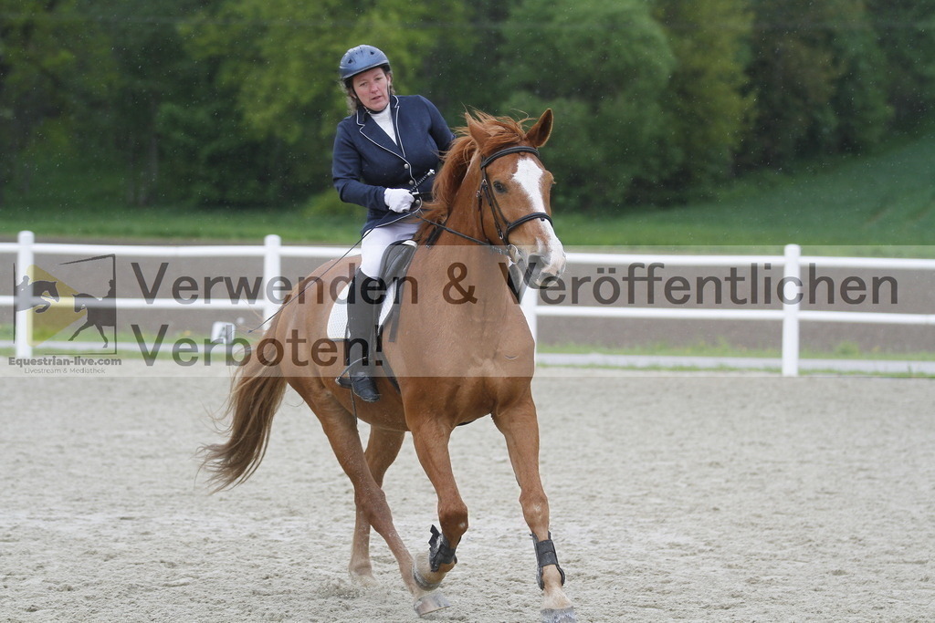 _MG_1011 | equestrian-live-com