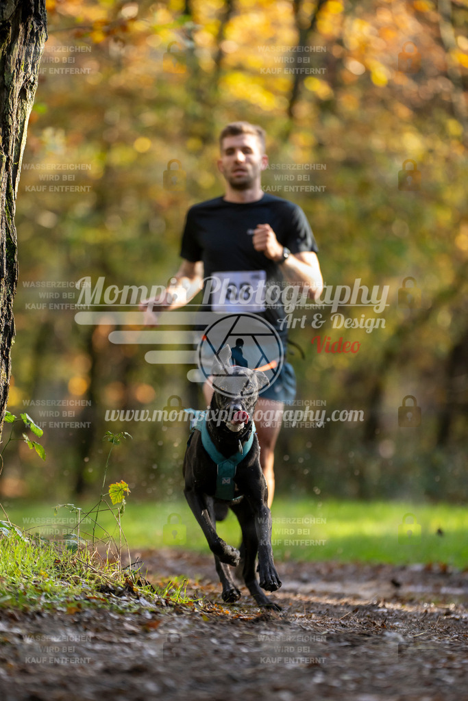 MompixPhotography_Bischwiller23_Canicross-17 | PayLife