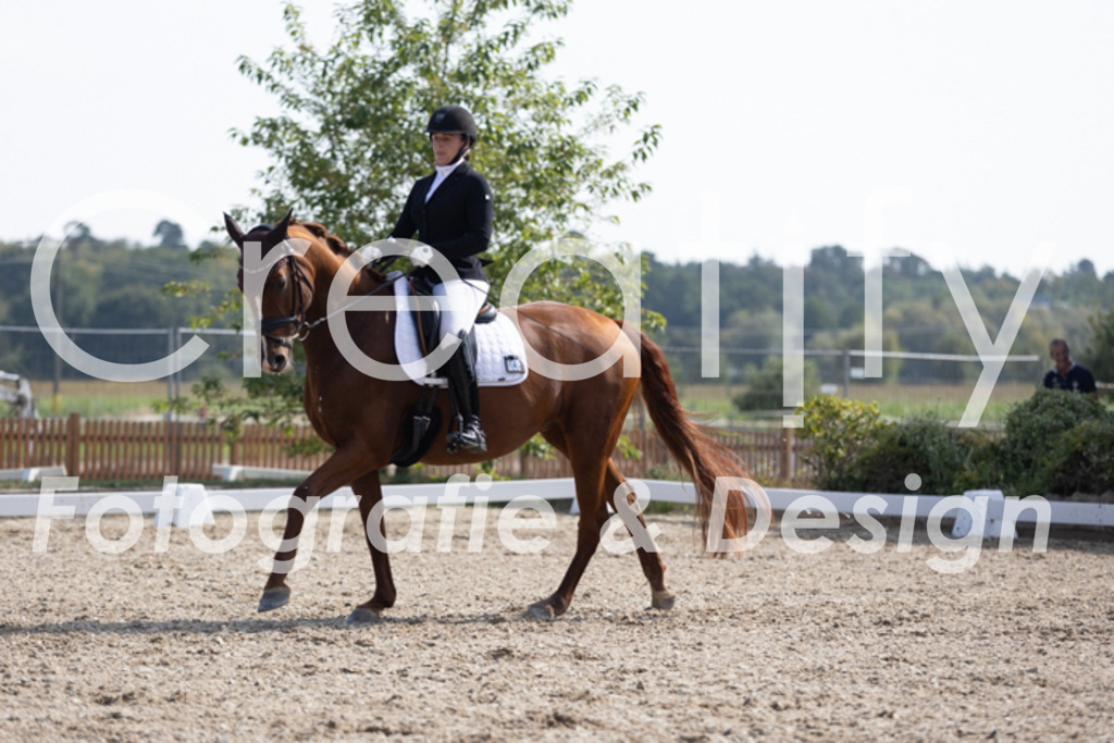 IMG_3446 | Creatify Fotografie