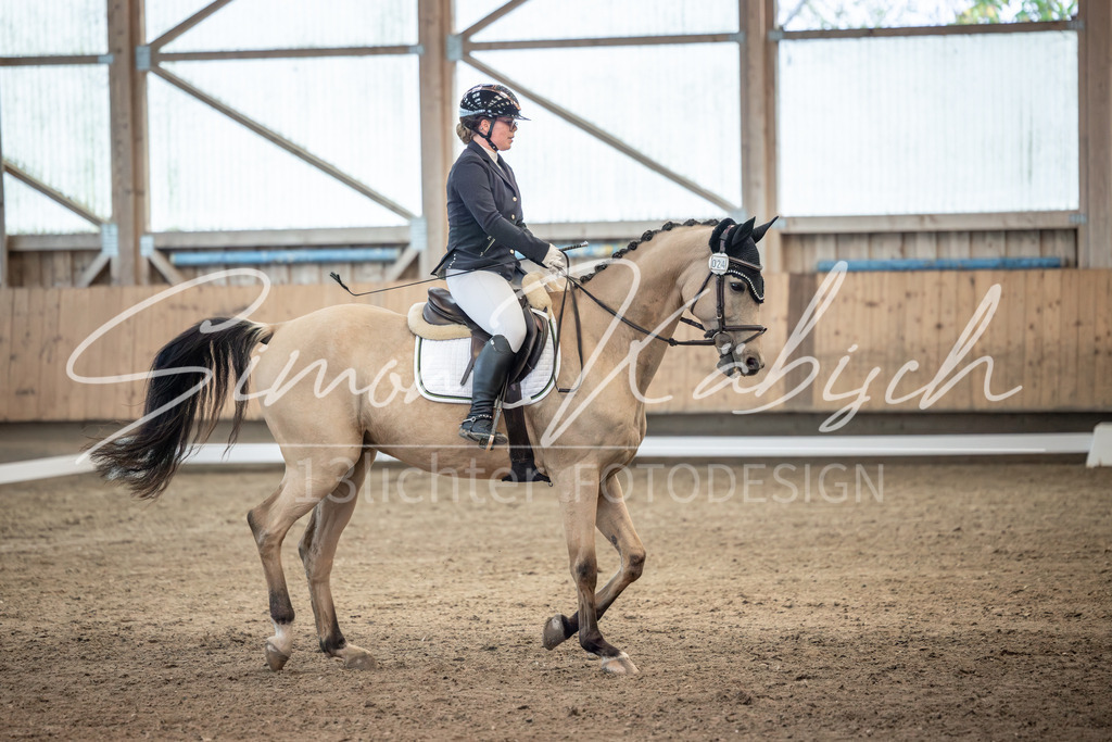 20251011-_3LI6015 | Tierfotografie Pferde, Hunde, Katzen, Haustiere.
Turnierfotografie Reitturniere, Reiten, Springreiten, Dressur in Hanau, dem Main-Kinzig-Kreis und dem Rhein-Main- Gebiet um Frankfurt