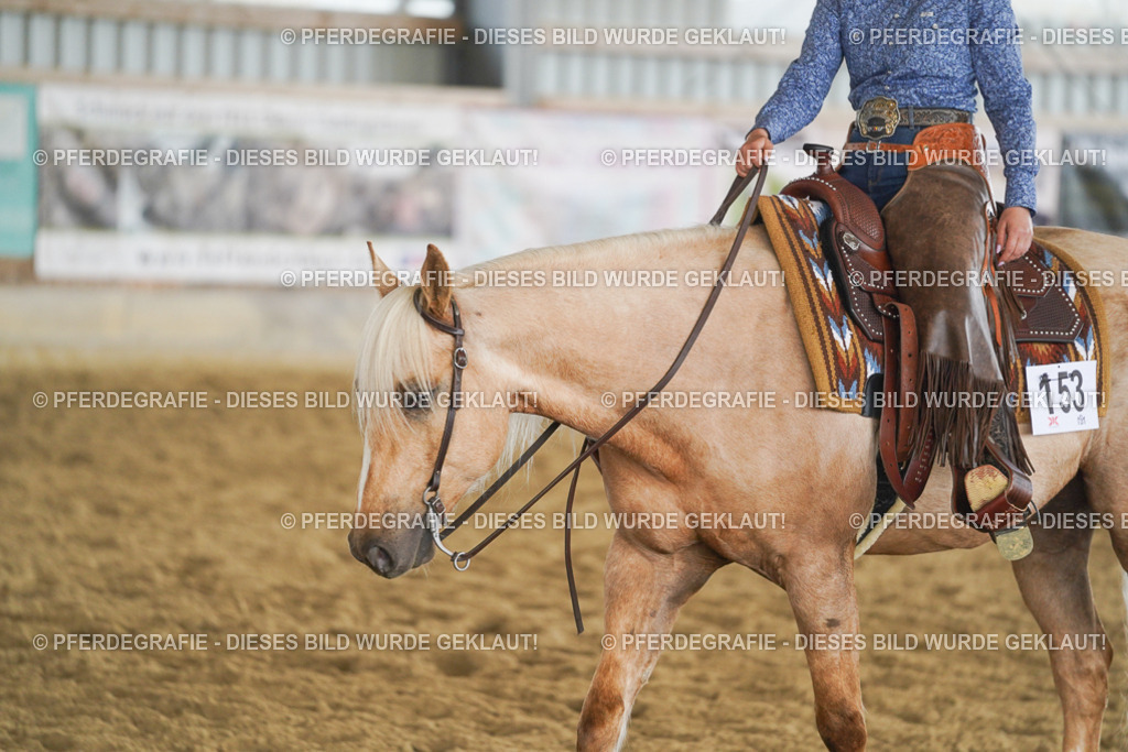 DSC05861 | Pferdegrafie