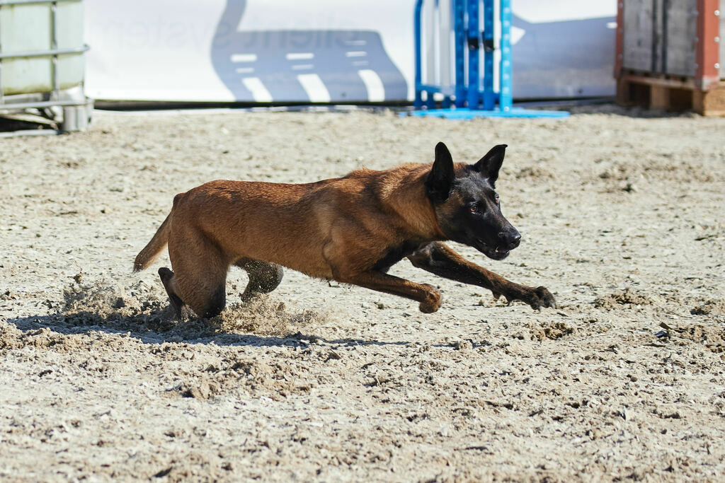 580A0150 | Peter Fridle Fotografie - Realisiert mit Pictrs.com