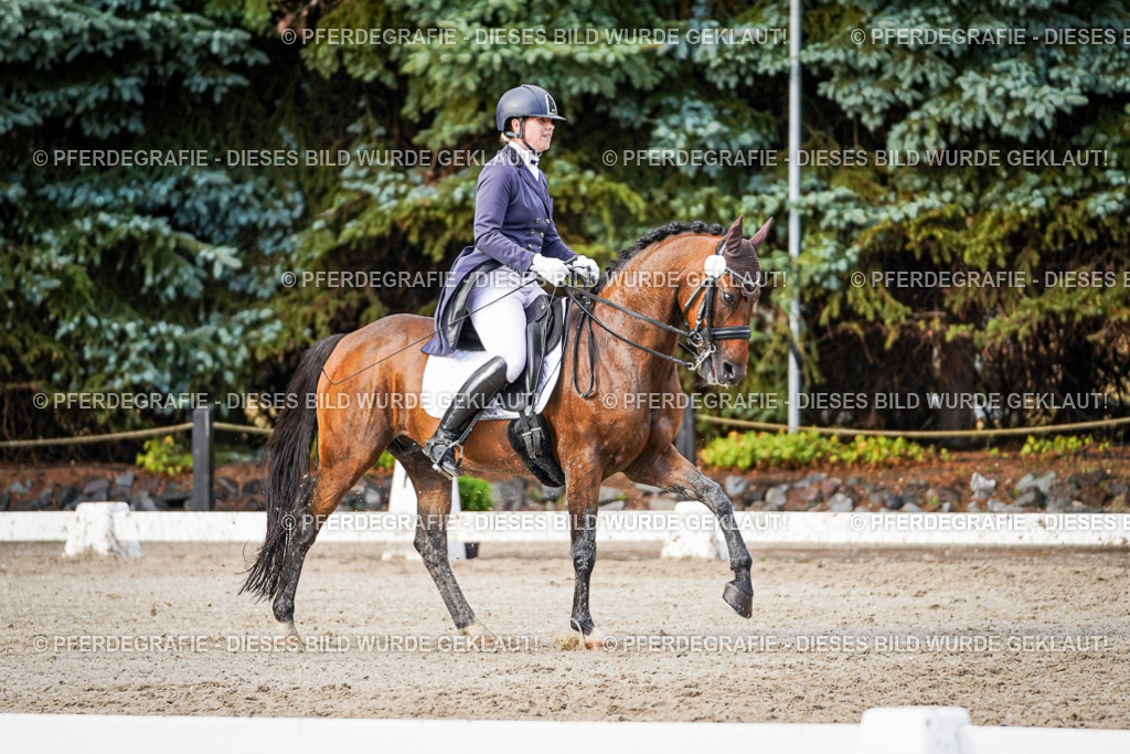 DSC00361 | Pferdegrafie