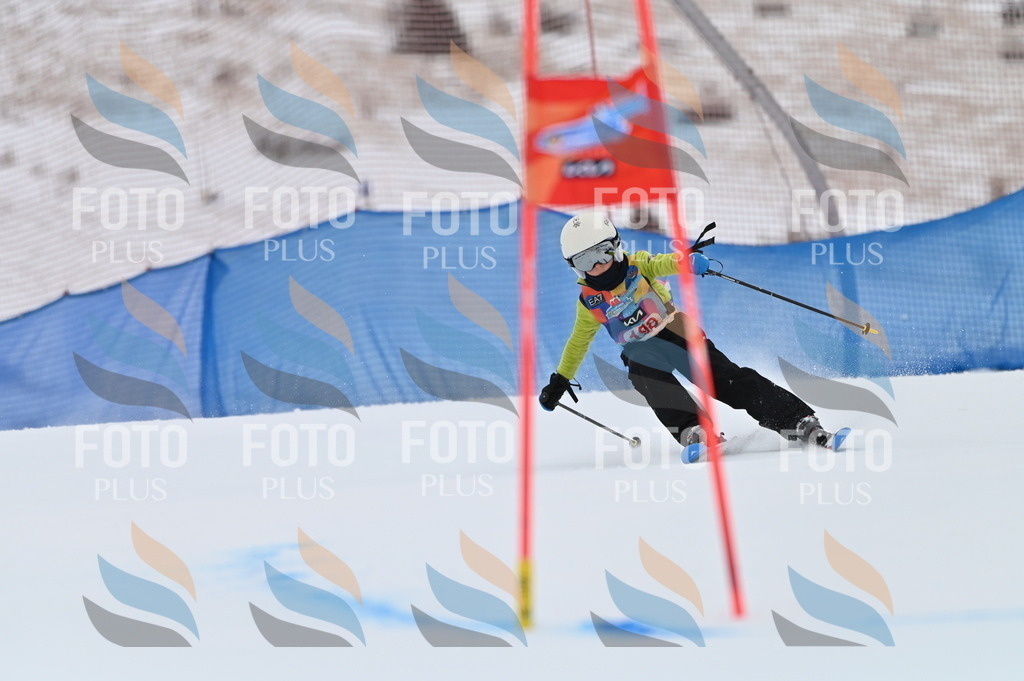 BGV_1807 | holidayphoto