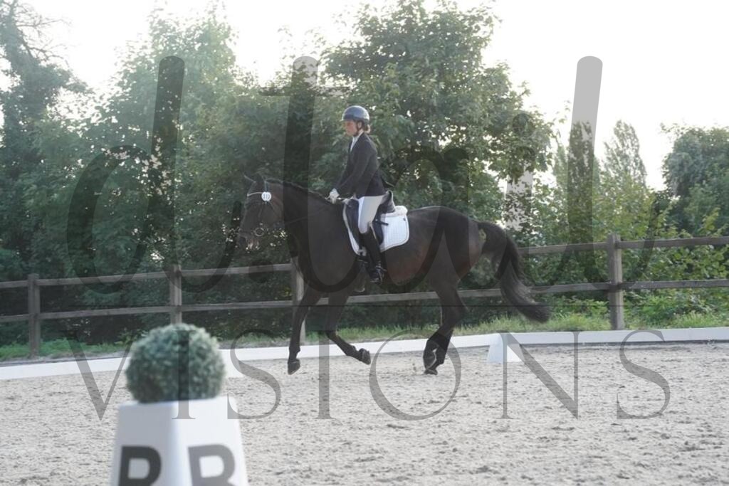 tgbhsamstag (2988) | d.tail Visions - Shop - Realisiert mit Pictrs.com