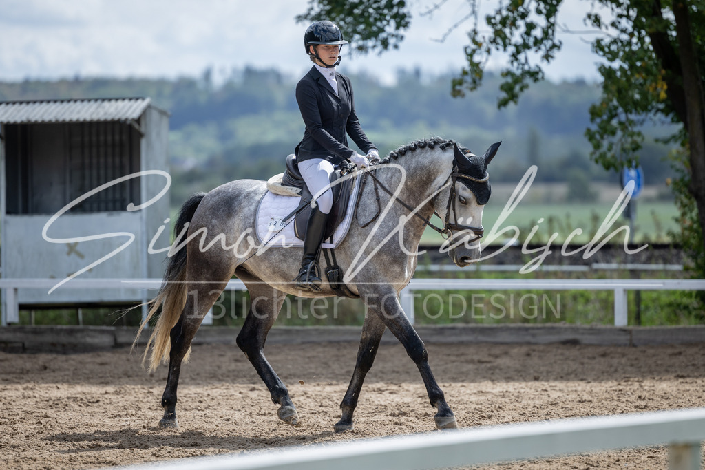 20260905-_3LI8098 | Tierfotografie Pferde, Hunde, Katzen, Haustiere.
Turnierfotografie Reitturniere, Reiten, Springreiten, Dressur in Hanau, dem Main-Kinzig-Kreis und dem Rhein-Main- Gebiet um Frankfurt