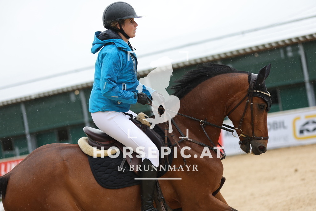 0P6A2079 | Willkommen bei Brunnmayr - Design & Fotografie – Ihrem Spezialisten für Reitturniere und Pferdeveranstaltungen in Oberösterreich, Salzburg und Bayern! Seit über 17 Jahren sind wir leidenschaftlich dabei.