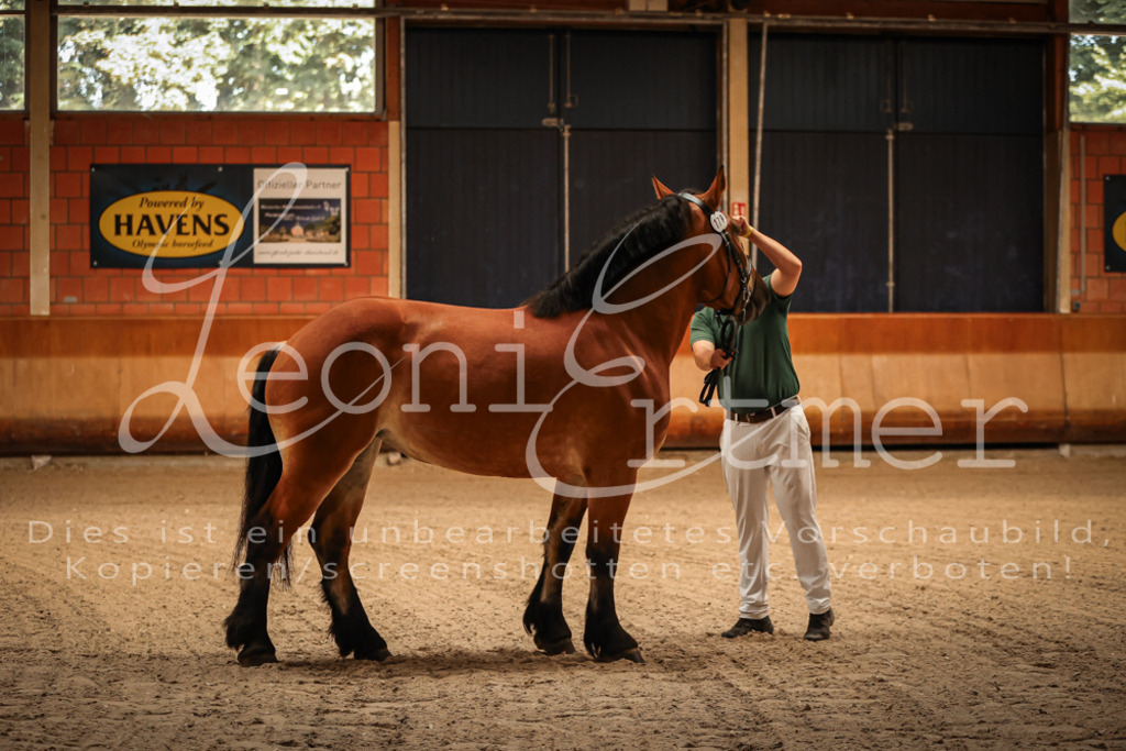 SaFL00005 | Leoni Ertmer Photography - Realisiert mit Pictrs.com