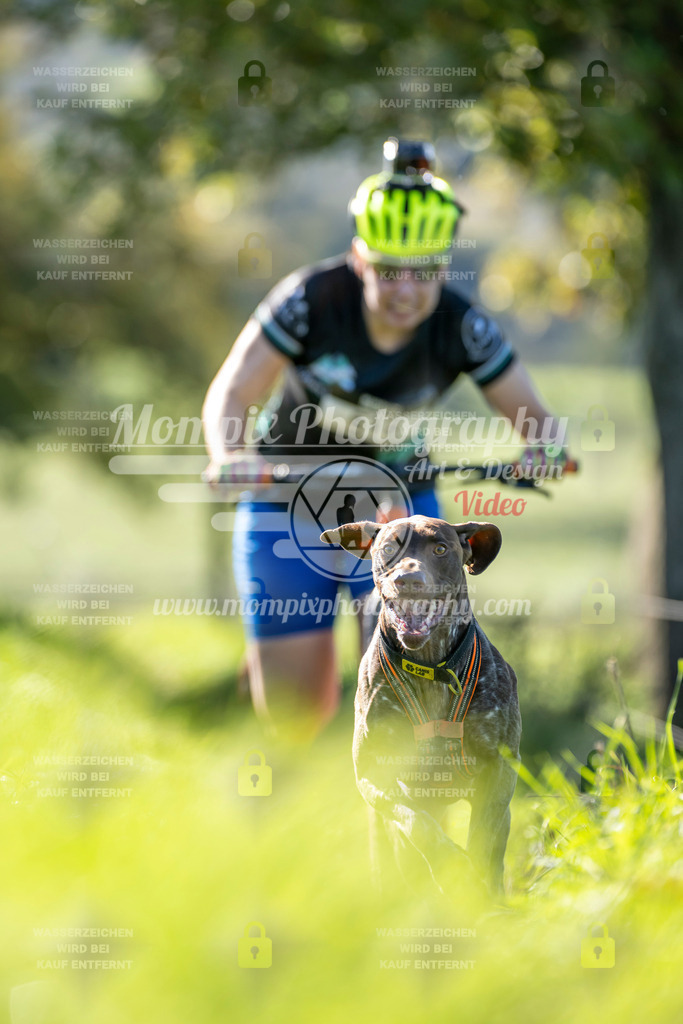 MompixPhotography_20TSB_E3_DS1-23 | PayLife