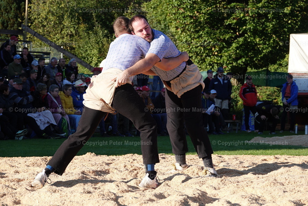 DSC01918 | Schwingen - Realisiert mit Pictrs.com