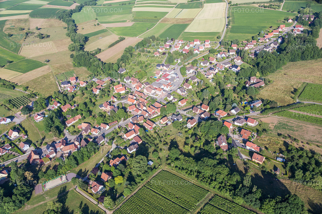 Aerial view: Agricultural fields and arable land in Oberhoffen-lès-Wissembourg in the state Bas-Rhin, France.Photo: IMG_083002.jpg taken on 06/26/2015 by Werner Riehm/FLY-FOTO.comResolution of the original: 5472 x 3648 px