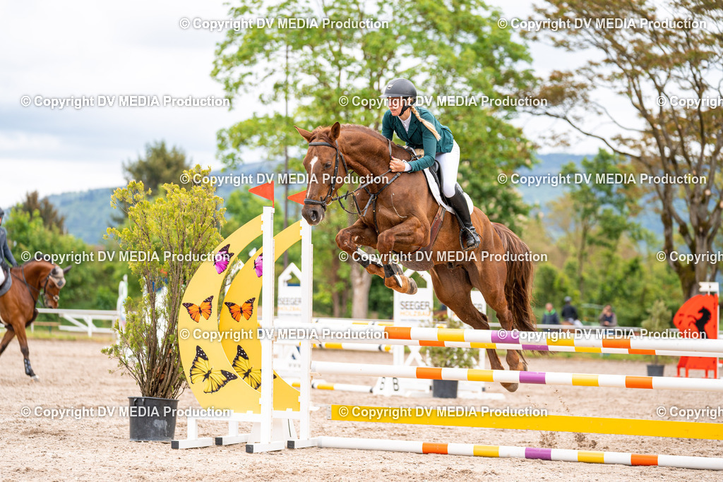 Eppelheim Tag 1-58 | dv-media-shop - Realisiert mit Pictrs.com