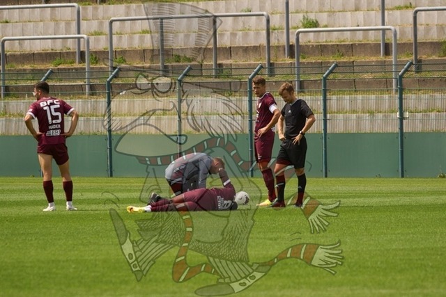 BFC Dynamo vs. SV Lichtenbger 47 023 | mythos-online-redaktion