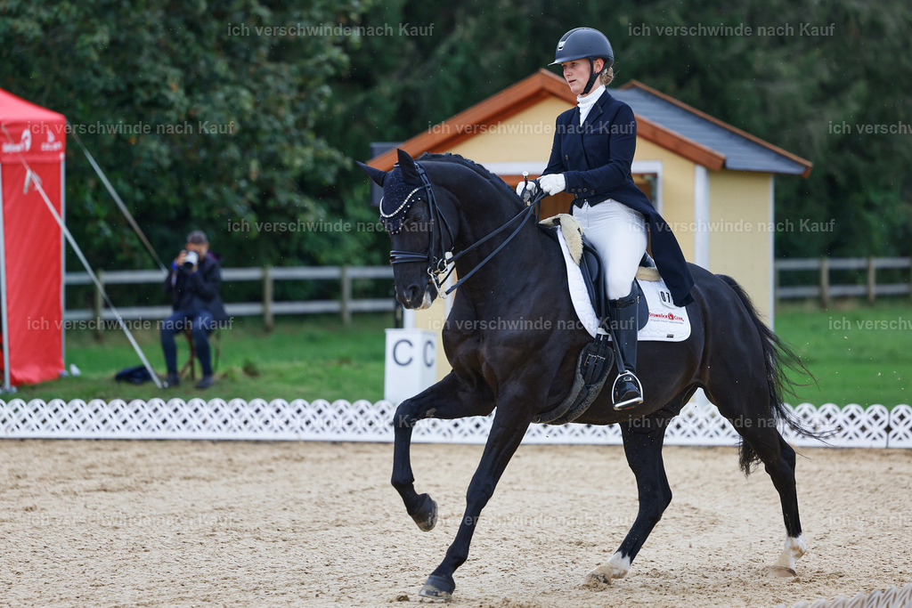 8_1-077-Klasse S_  -StoibPH-3811 | working equitationturnier fotograf videograf stoibphotography marixx film working equitation deutschland reitsport turnierfotografie eventfotografie equestrian events