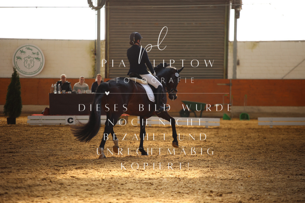 IMGT6898 | pl-fotografie