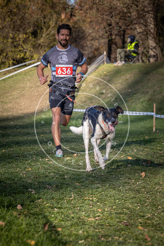 CaniXpix_0L8A8989 | Hundefotografie, Tierfotograf, Pfotenfotografie, Fotoshooting Hund, Hunde Portrait, Hundesport, Hundeportraits, Heideshooting, Hunde, Sportfotograf, Hundefotograf, Turnierhundsport, THS,  - Realisiert mit Pictrs.com