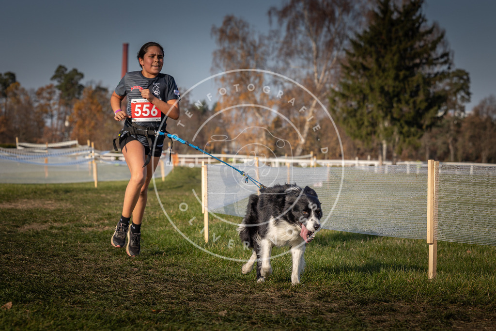 CaniXpix_0L8A9425 | Hundefotografie, Tierfotograf, Pfotenfotografie, Fotoshooting Hund, Hunde Portrait, Hundesport, Hundeportraits, Heideshooting, Hunde, Sportfotograf, Hundefotograf, Turnierhundsport, THS,  - Realisiert mit Pictrs.com