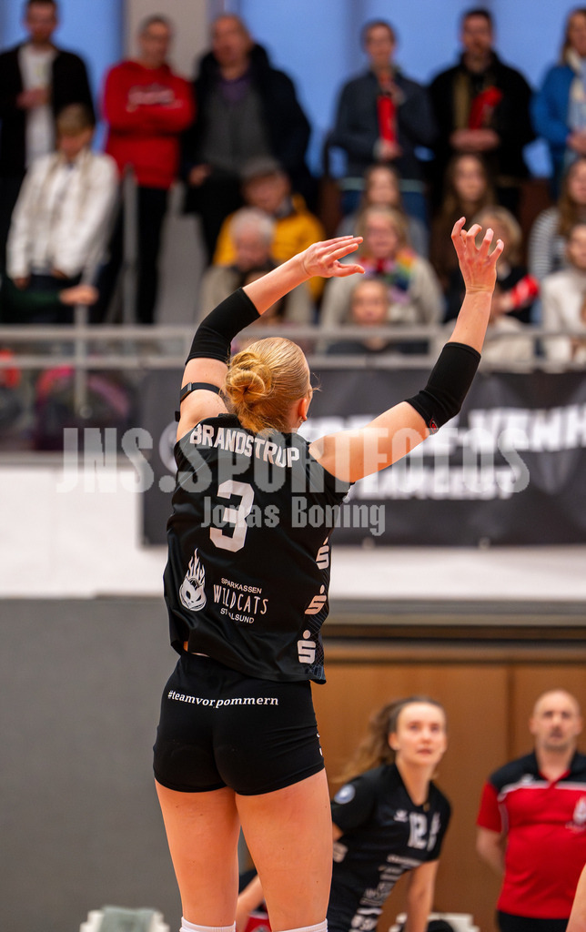 Volleyball I Frauen I Saison 2025-2026 I 2 Bundesliga Pro I 17. Spieltag VFL Oythe - VC Stralsund I 1659 | Gesa Brandstrup (3,VC Stralsund) - Realisiert mit Pictrs.com