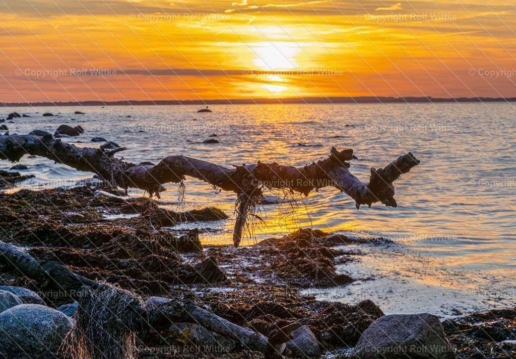 ostsee2.1 | Rolf Wittke  - Realisiert mit Pictrs.com