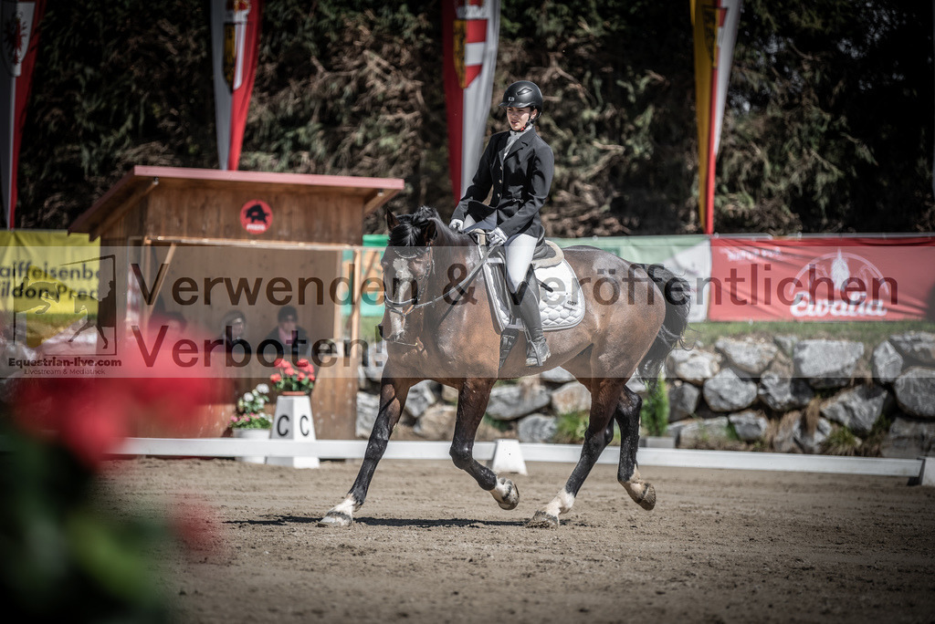 DSC_0295 | equestrian-live-com