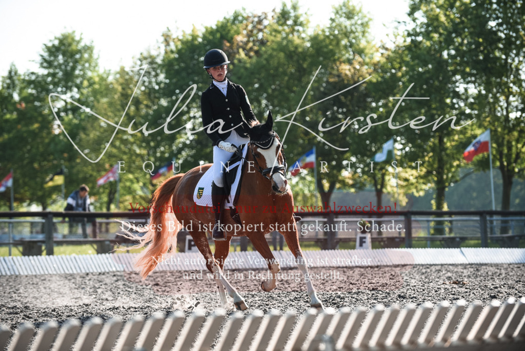 DSC_8256 | Pferde- und Turnierfotografie in Westsachsen. Pferdeportraits, Auftragszeichnungen und intuitive Kunst.