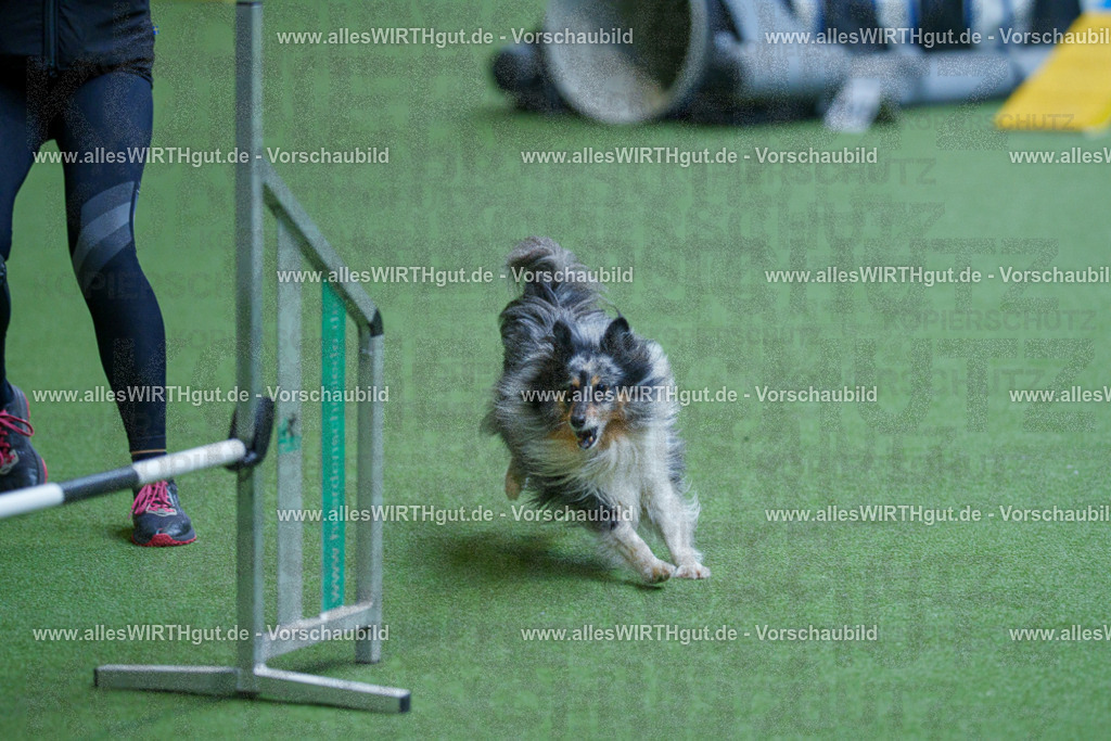 @allesWIRTHgut_Tierfotografie - www.allesWIRTHgut.de - 2604261459-7R504232 | Professionelle Tierfotografie in Mönchengladbach von Daniel Wirth (allesWIRTHgut). Liebevolle & natürliche Bilder von Hunden & Katzen für unvergessliche Erinnerungen.