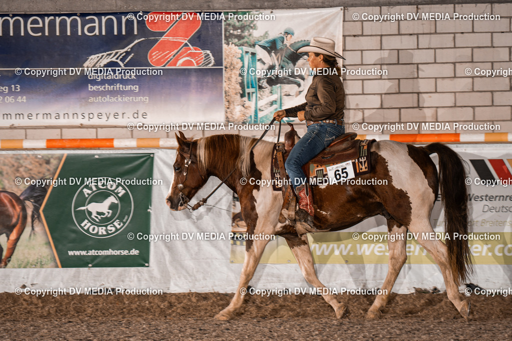 ZH200517 | dv-media-shop - Realisiert mit Pictrs.com