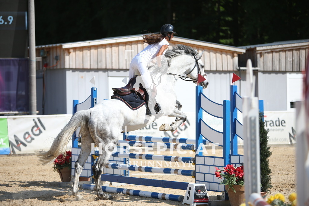 PP016011 | Willkommen bei Brunnmayr - Design & Fotografie – Ihrem Spezialisten für Reitturniere und Pferdeveranstaltungen in Oberösterreich, Salzburg und Bayern! Seit über 17 Jahren sind wir leidenschaftlich dabei.