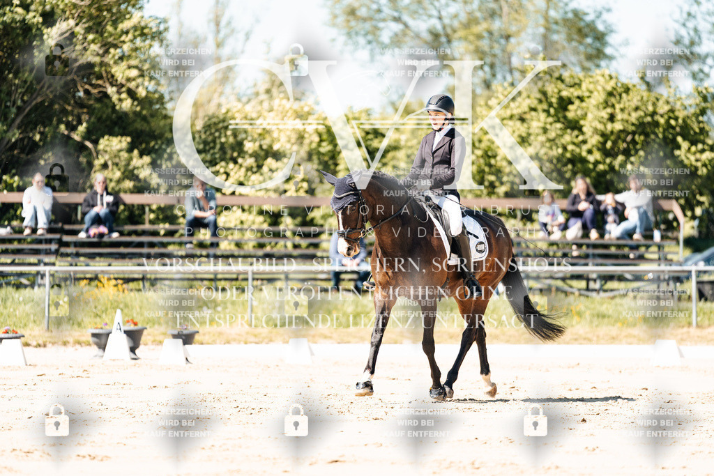 CK905013 | Turnierfotografie Pferdefotografie Trier Rheinland-Pfalz Pferdesport Reitsport Tierfotografie Sportfotografie Pferdevideo Pferdevideografie Equestrianvideography equestrianphotography  - Realisiert mit Pictrs.com