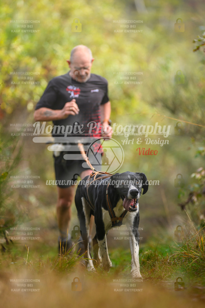 MompixPhotography_20TSB_E4_Run-96 | PayLife