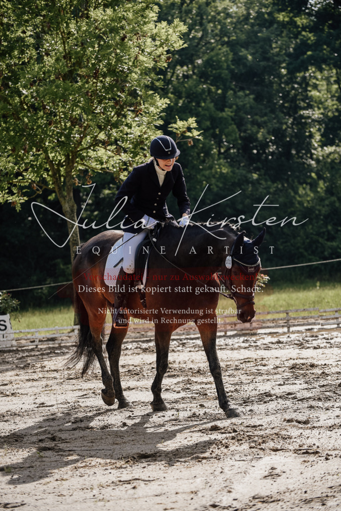 DSC_8826 | Pferde- und Turnierfotografie in Westsachsen. Pferdeportraits, Auftragszeichnungen und intuitive Kunst.