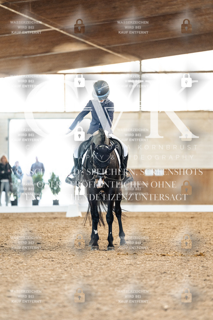 CK908259 | Turnierfotografie Pferdefotografie Trier Rheinland-Pfalz Pferdesport Reitsport Tierfotografie Sportfotografie Pferdevideo Pferdevideografie Equestrianvideography equestrianphotography  - Realisiert mit Pictrs.com