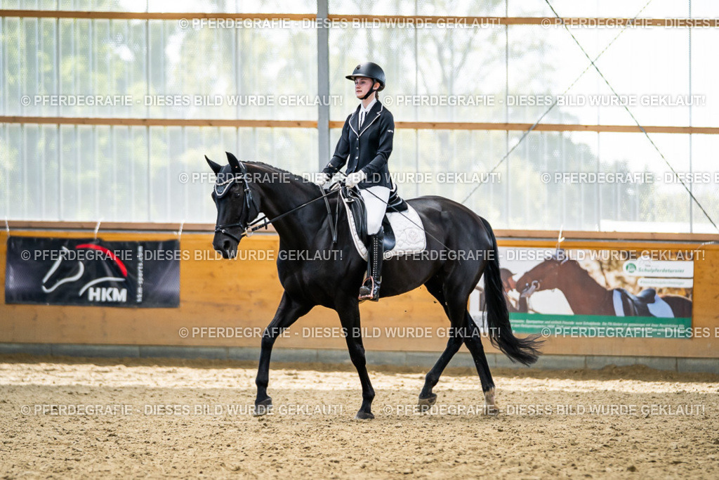 DSC05847 | Pferdegrafie