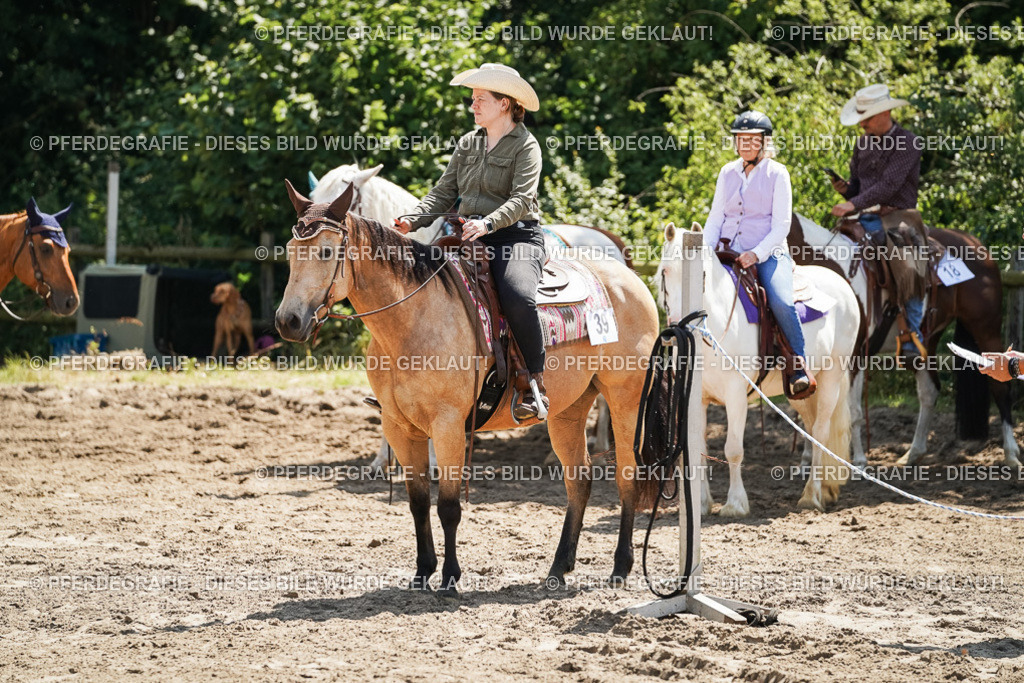 DSC06626 | Pferdegrafie