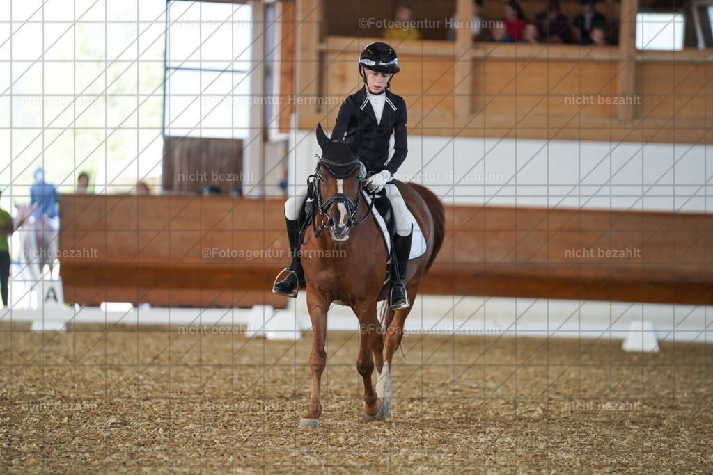 20240824-FAH07237 | Thierhaupten 2024, Bayerisches Landesponyturnier, Turnierbilder, Ponybilder, Turnierfotografen Bayern, Fotoagentur Herrmann