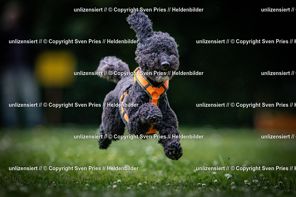 Sven Pries | 2025-05-29 - Pudelrennen KA-Durlach - Realisiert mit Pictrs.com