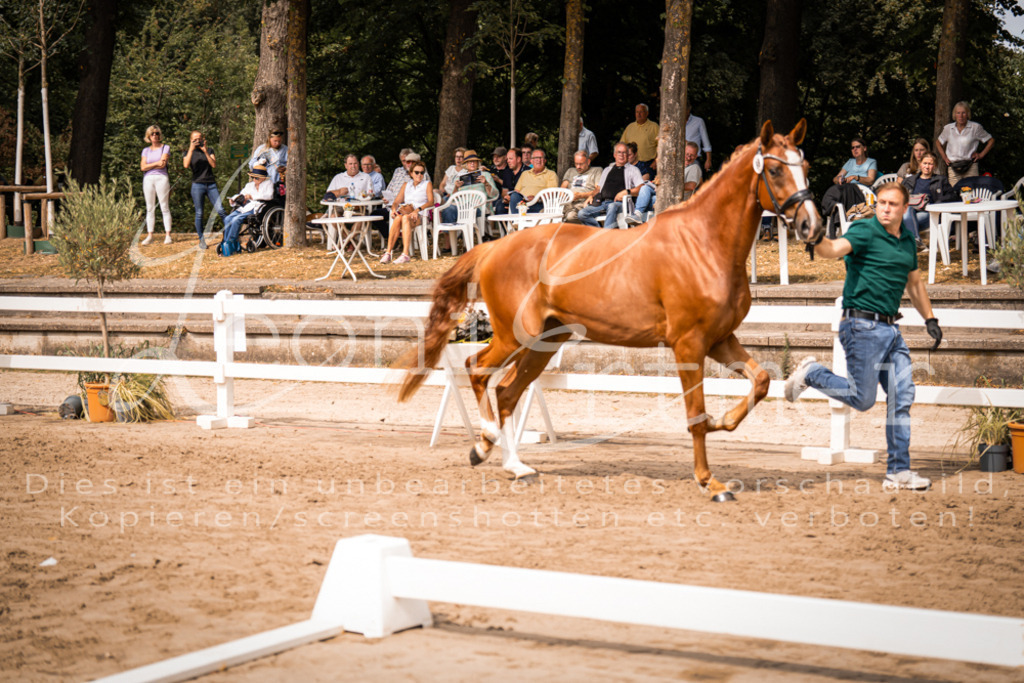 5.Fr00083 | Leoni Ertmer Photography - Realisiert mit Pictrs.com