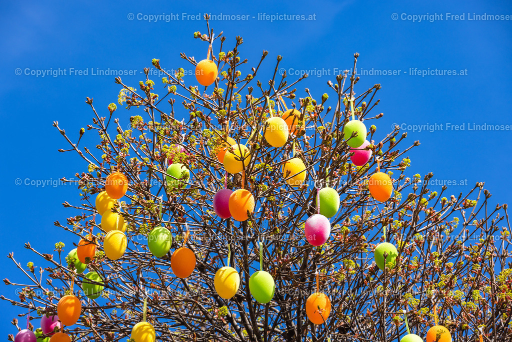 Frohnleiten Ostern Osterdeko 2022-5947 | Fotos und Fotoprodukte - Realisiert mit Pictrs.com