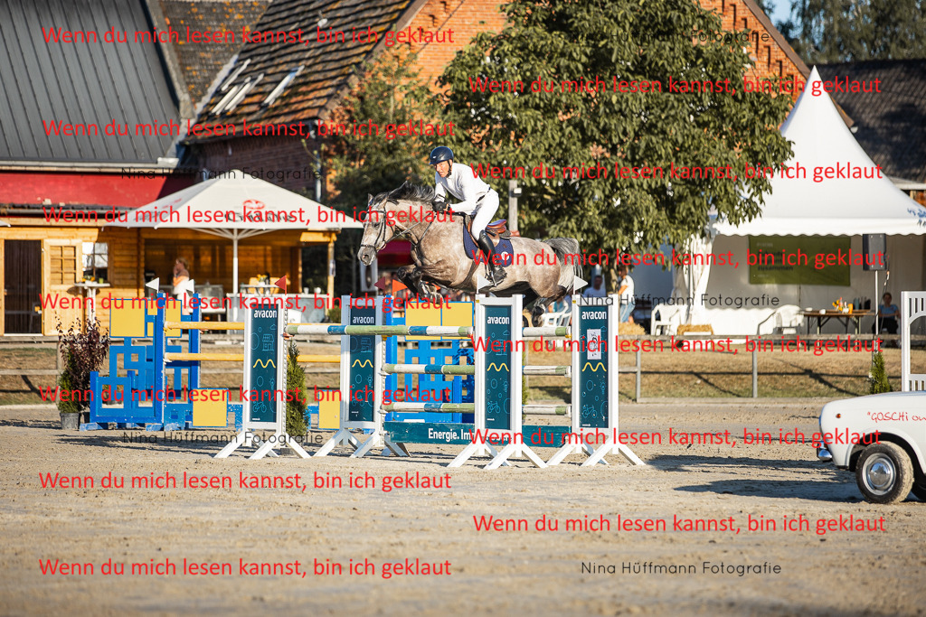 BK1A8872 | Turnierbilder Turnierfotos Nina Hüffmann Turnierfotografie Pferdefotografie Tierzeichnung Haustierzeichnung Pferdezeichnung Hundezeichnung Videograf  - Realisiert mit Pictrs.com