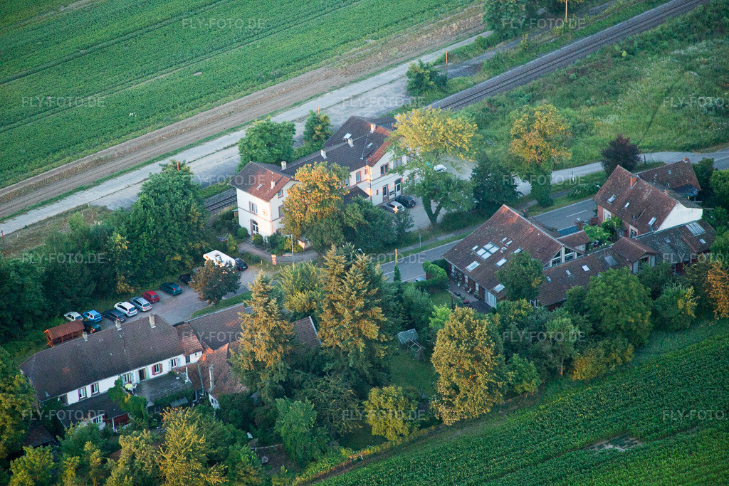 Luftbild: alter Bahnhof in Steinfeld im Bundesland Rheinland-Pfalz in Deutschland. Foto: IMG_091505.jpg vom 10.07.2016 durch Werner Riehm/FLY-FOTO.de