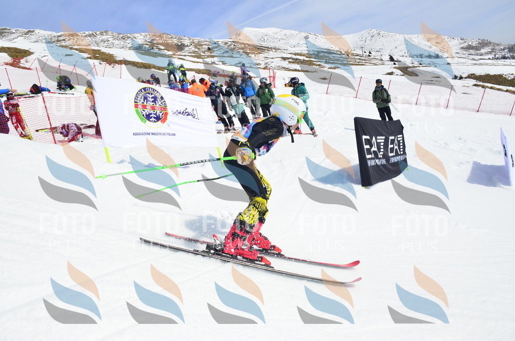 _ELE1826 | holidayphoto