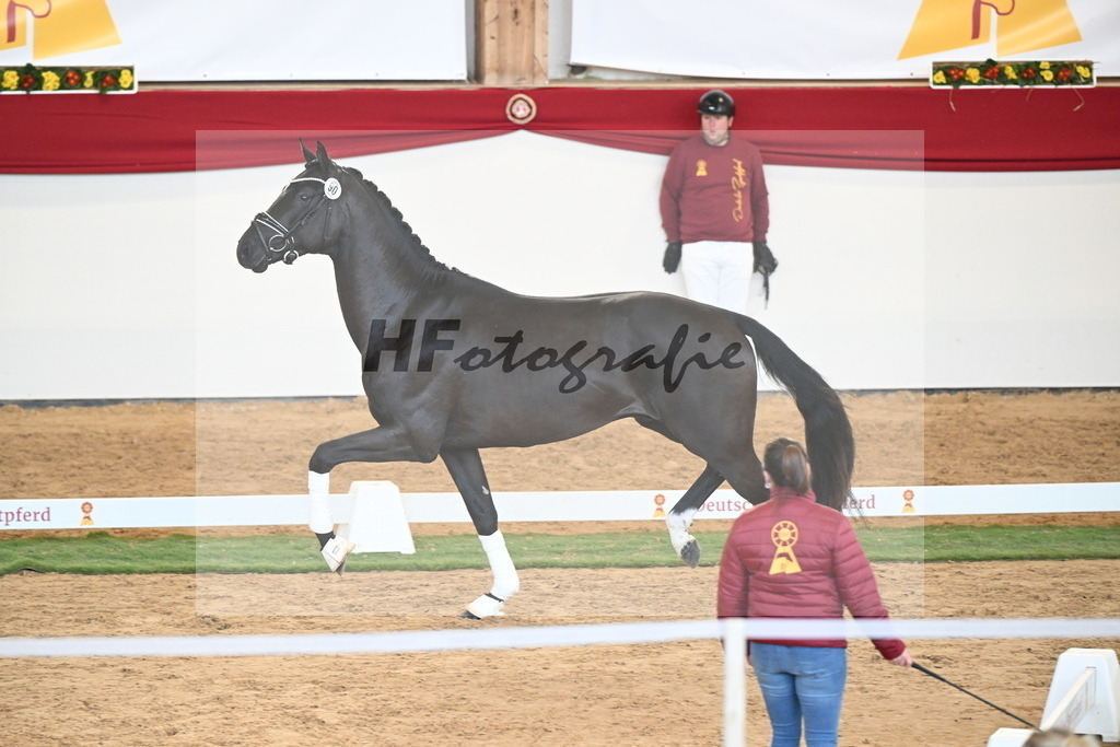 Kat.-Nr. 90 v. Vivaldos_Sosath_2250937 | hf-fotografie - Realisiert mit Pictrs.com