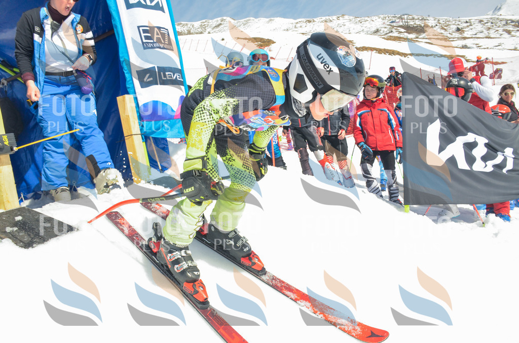 _ELE6476 | holidayphoto