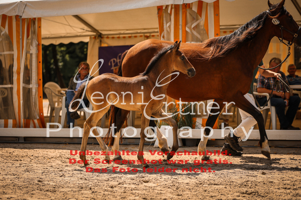 03.DoAB00015 | Leoni Ertmer Photography - Realisiert mit Pictrs.com