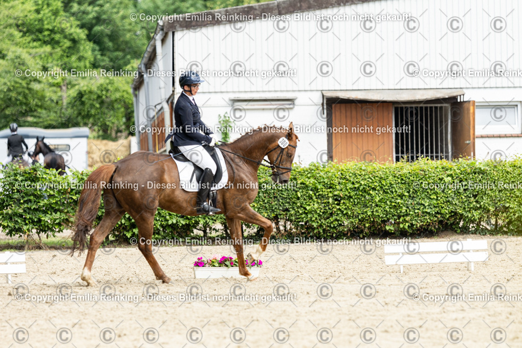 CL5A5048-2 | Emilia Reinking Fotografie - Realisiert mit Pictrs.com